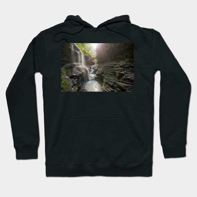 Watkins Glen Hoodie by jswolfphoto